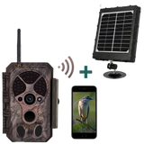 Bundle of Solar Panel and Bluetooth WIFI Game Camera 64MP 1296P Black Flash Wildlife Cam Night Vision Motion Activated Waterproof | A350W Red
